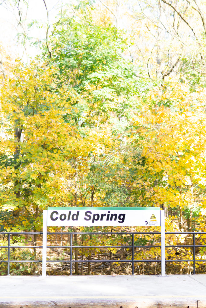 Cold Spring Es Day Trip to Cold Spring || Orange to Apple || NYC || Travel
